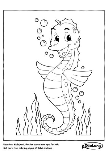 sea-horse-coloring-page